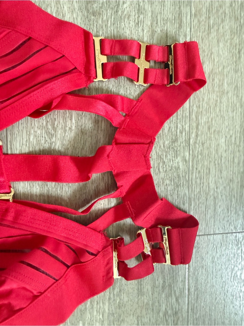 Honey Birdette LINDA C. Raspberry Red Striped Bodysuit Size S Gold Hardware - Picture 6 of 9